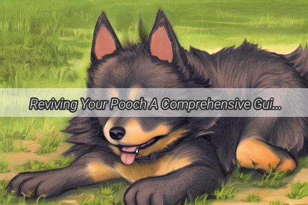  Reviving Your Pooch A Comprehensive Guide to Dog Recovery After Tumor Surgery